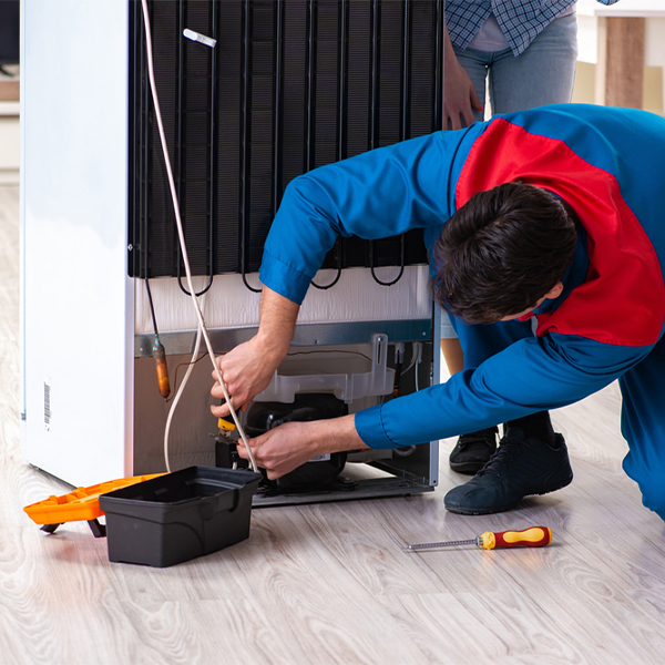 what are the common refrigerator repair services in Holmes City